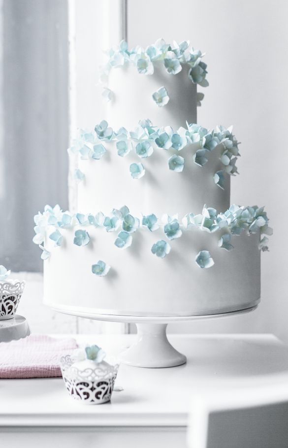 Tort kwiatostan hortensji